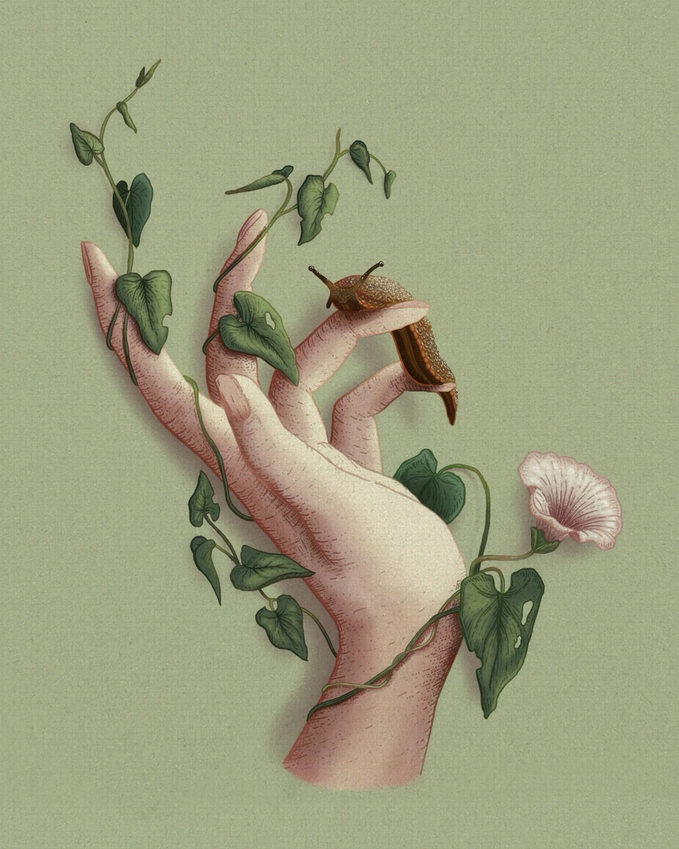 A colour illustration of a hand wrapped in bindweed, delicately holding a slug